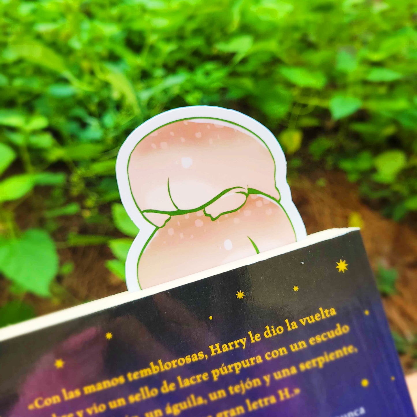 Chubby Rain Frog Bookmark