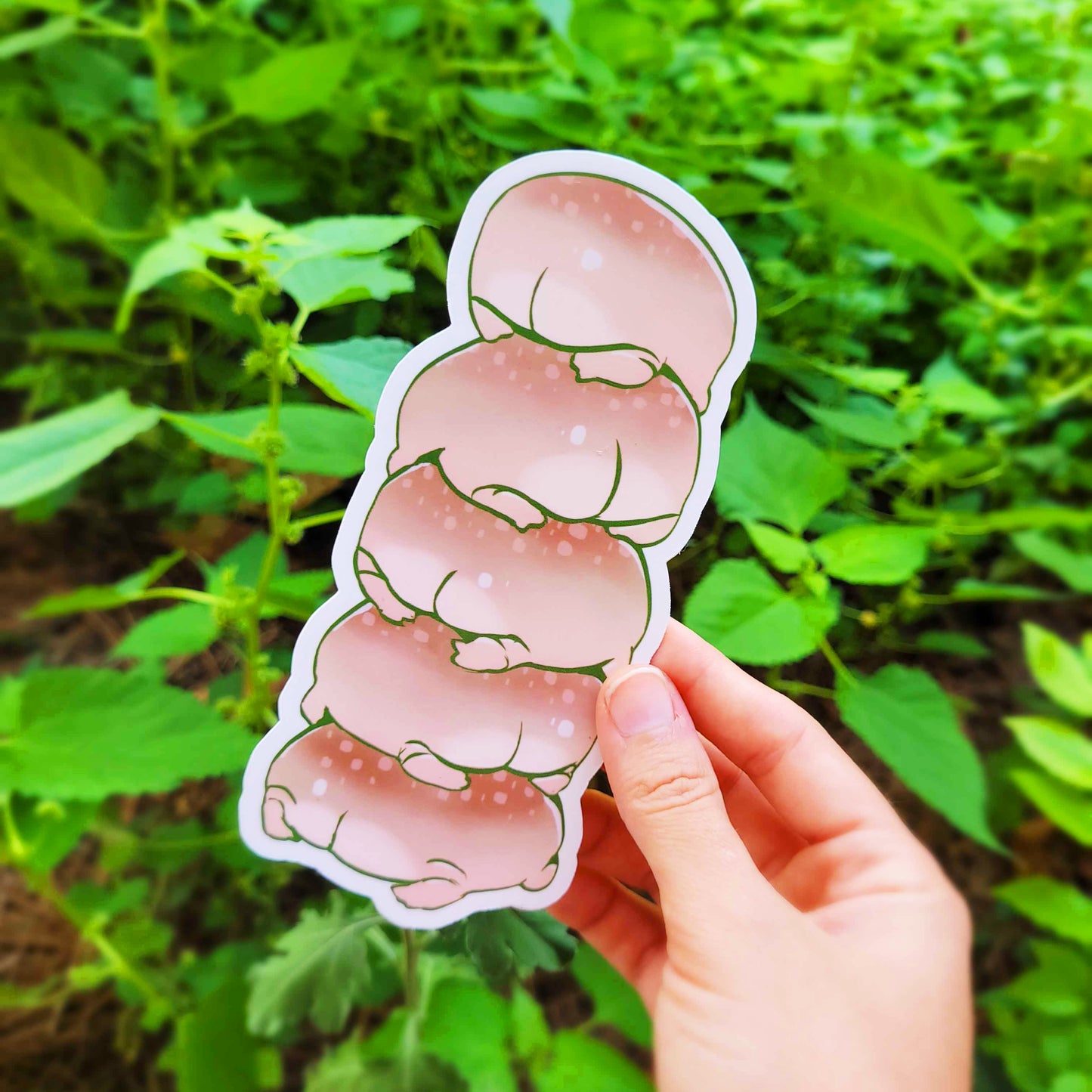 Chubby Rain Frog Bookmark