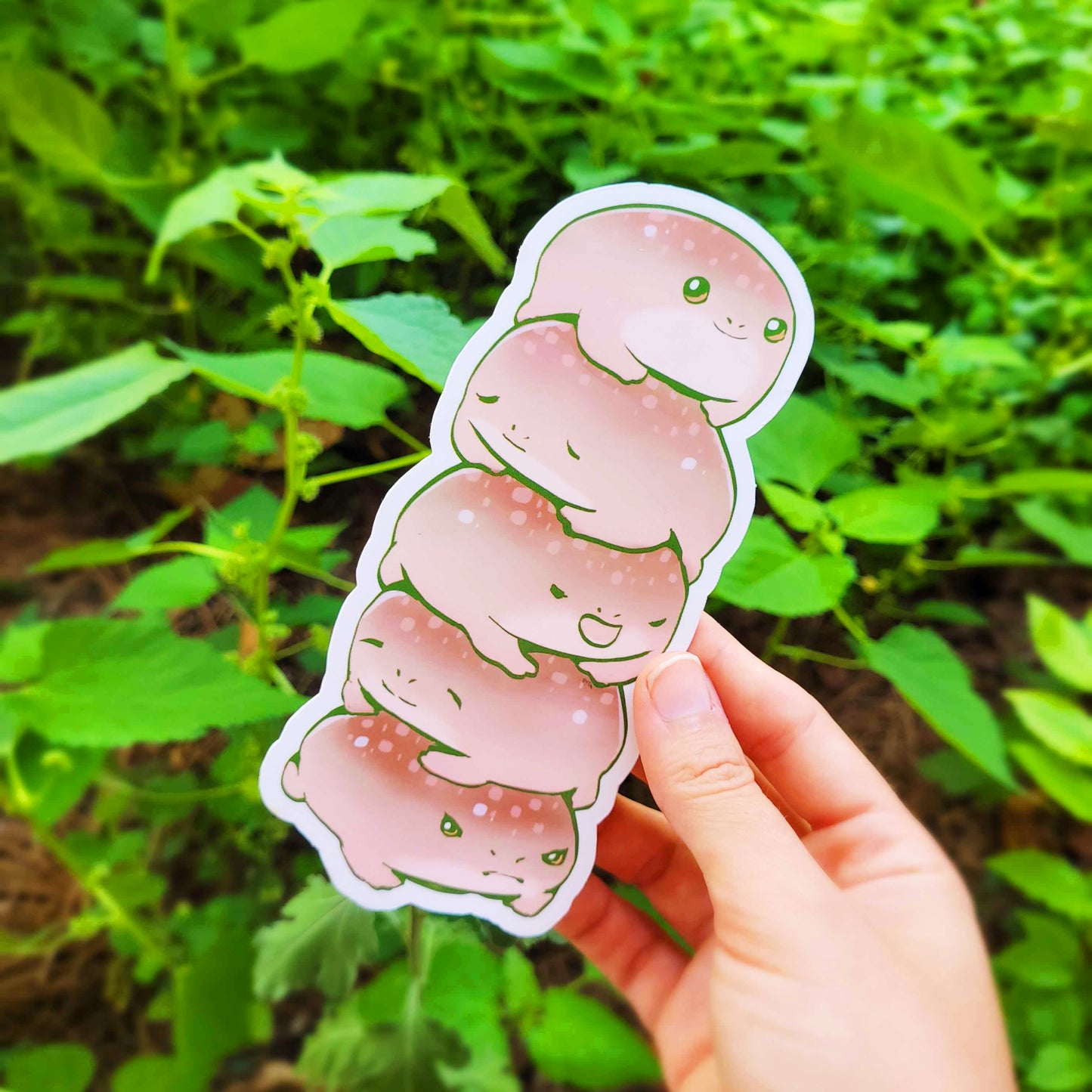 Chubby Rain Frog Bookmark