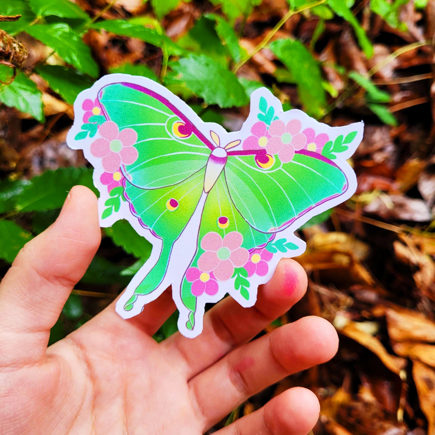 Luna Moth Gif Box