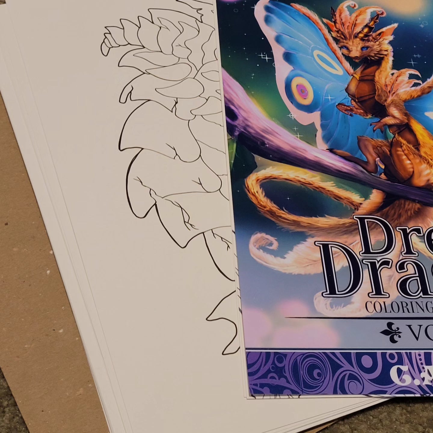 Libro para colorear de dragones de ensueño VOL5