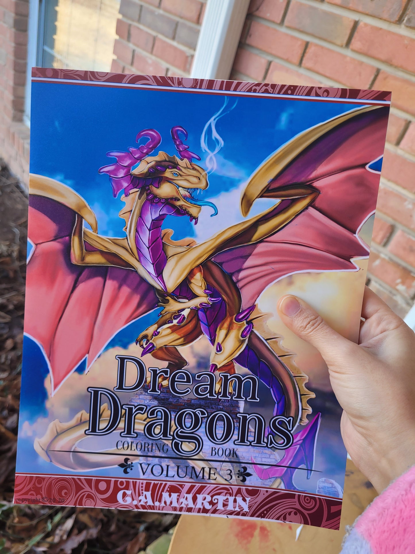 Libro para colorear de dragones de ensueño VOL3